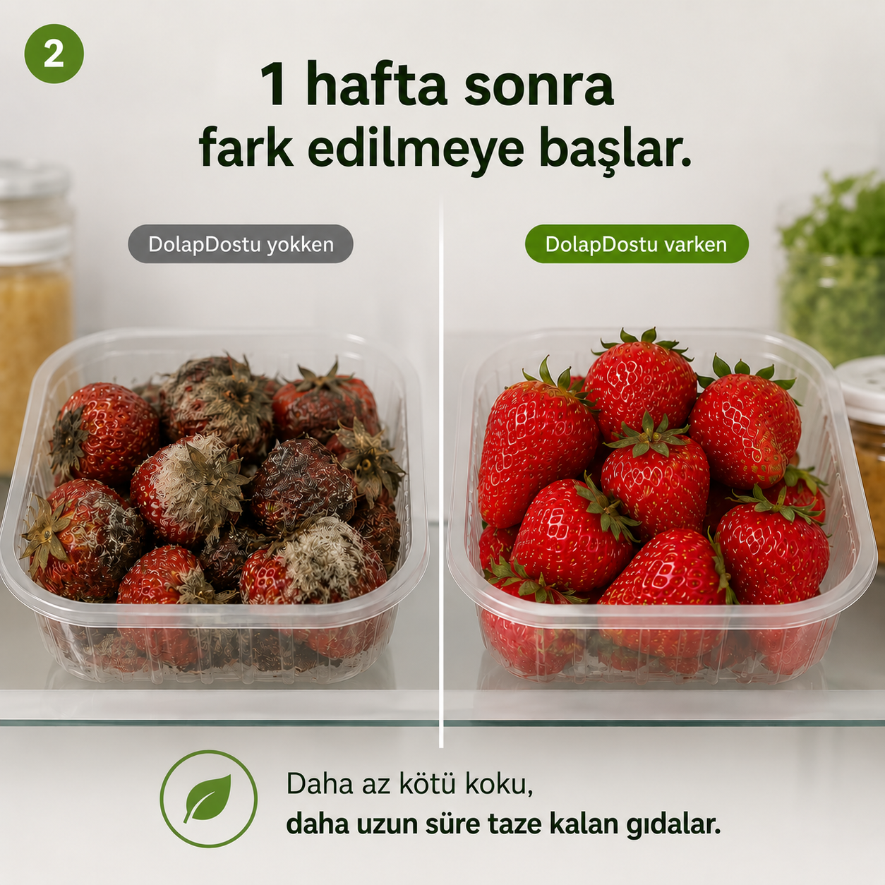 DolapDostu | Gıdaları Daha Uzun Süre Taze Tutmaya Yardımcı – Kötü Kokuları Azaltan Buzdolabı Çözümü